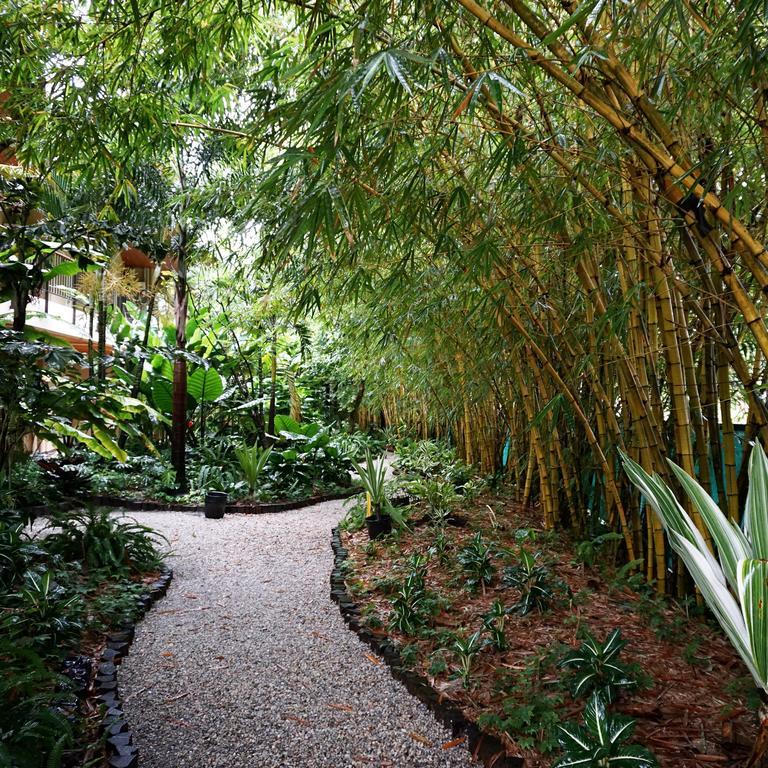 Jacana Amazon Wellness Resort Paramaribo Exteriör bild