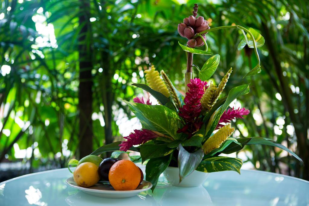 Jacana Amazon Wellness Resort Paramaribo Exteriör bild