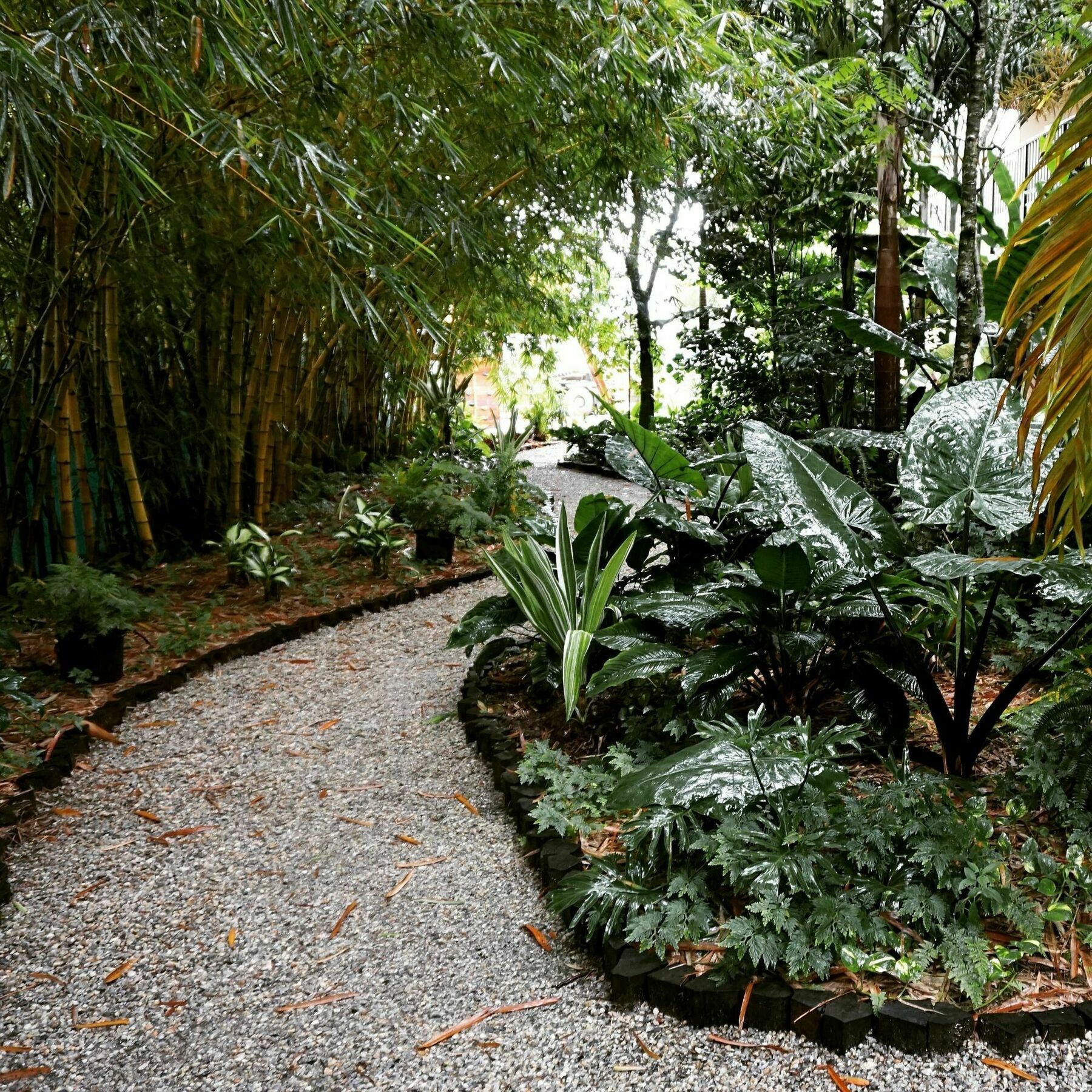 Jacana Amazon Wellness Resort Paramaribo Exteriör bild